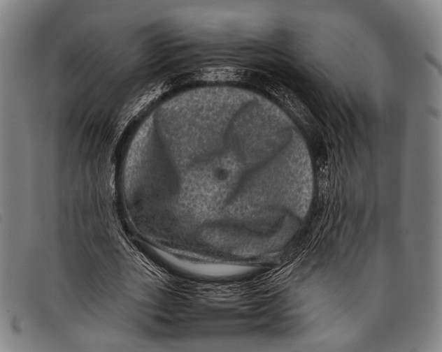 X0000097840727200804041443