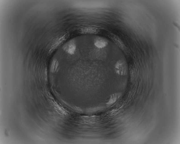 X0000097840729200804041443