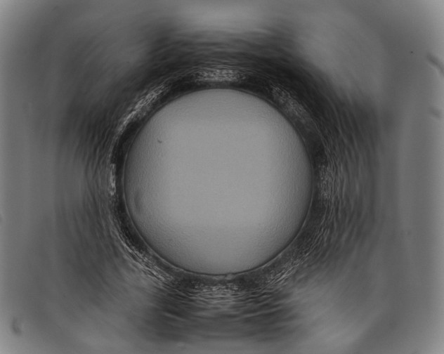 X0000097840731200804041443