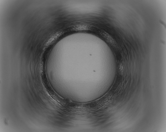 X0000097840732200804041443