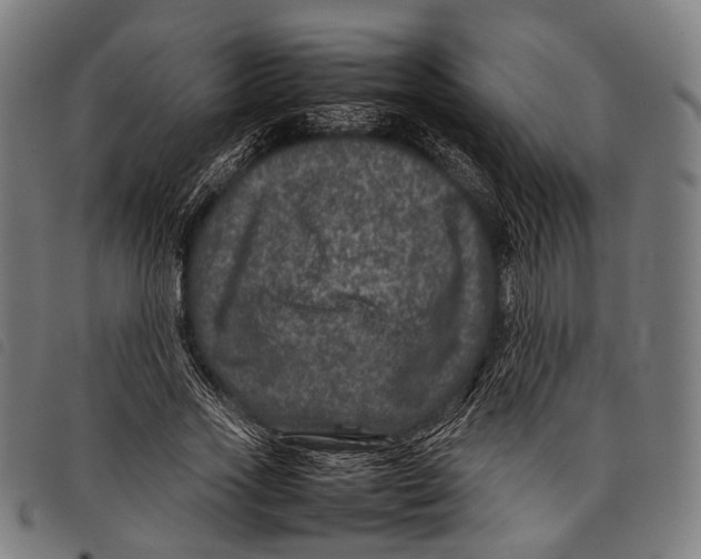 X0000097840733200804041443