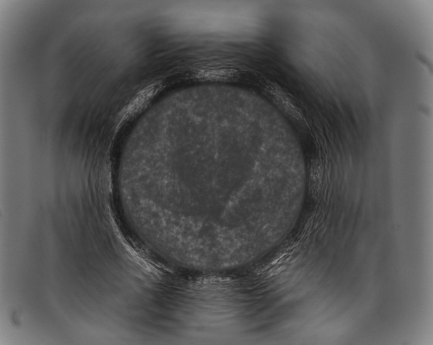 X0000097840734200804041443
