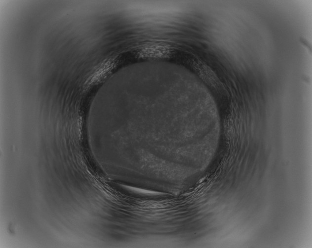 X0000097840735200804041443