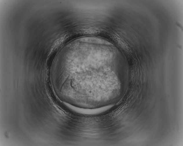 X0000097840736200804041443