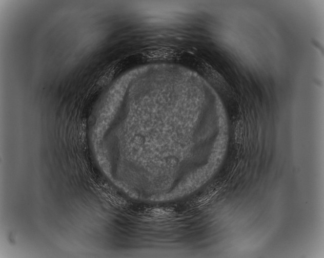 X0000097840737200804041443