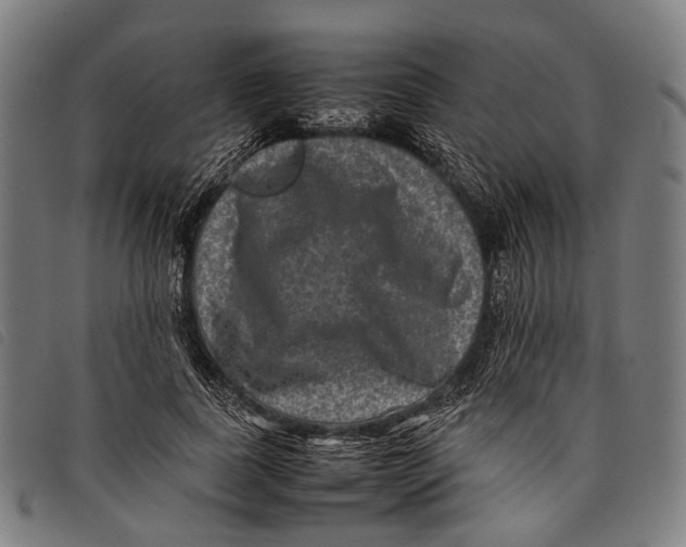 X0000097840739200804041443