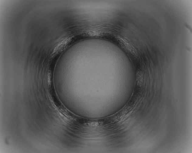 X0000097840740200804041443