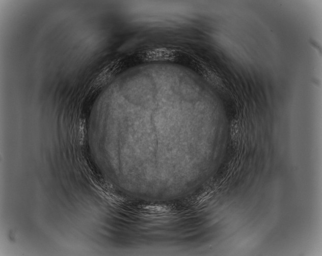 X0000097840741200804041443