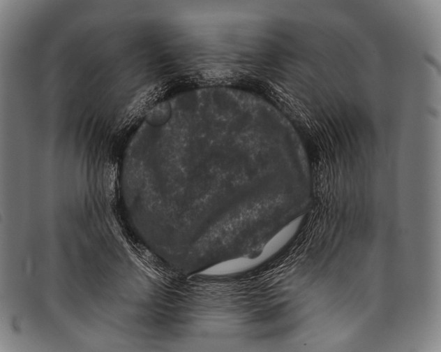 X0000097840742200804041443