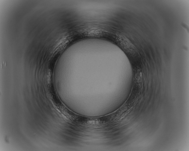 X0000097840744200804041443