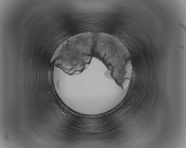 X0000097840745200804041443