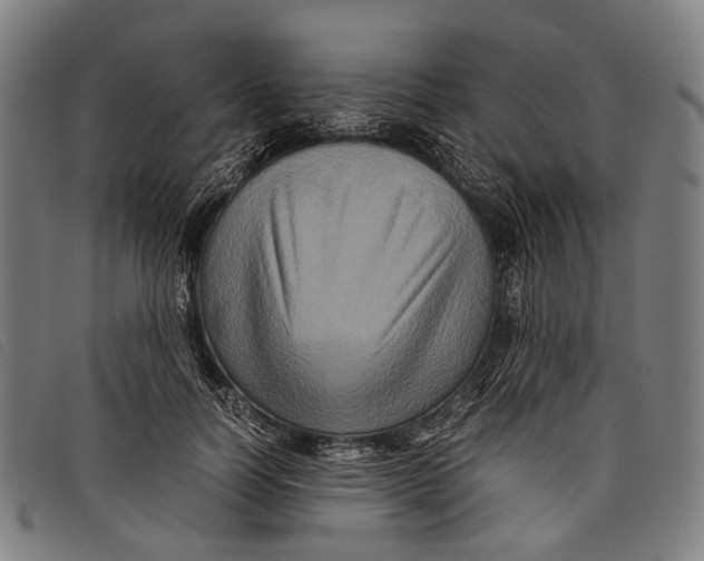 X0000097840746200804041443