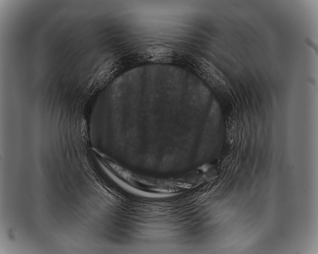 X0000097840748200804041443