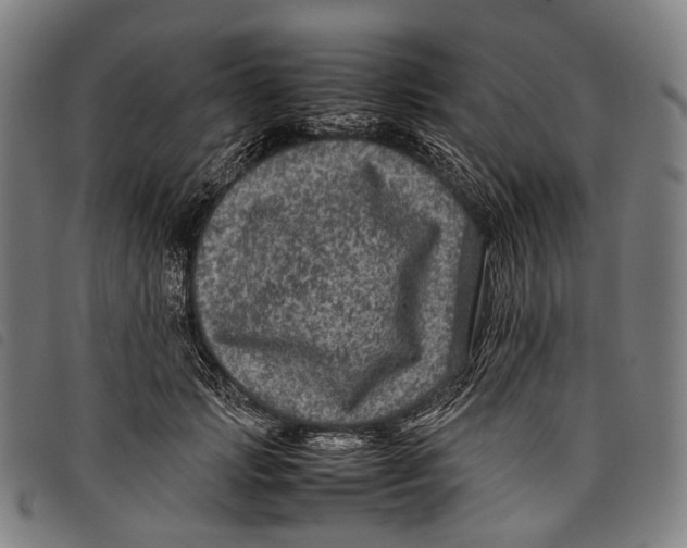 X0000097840749200804041443