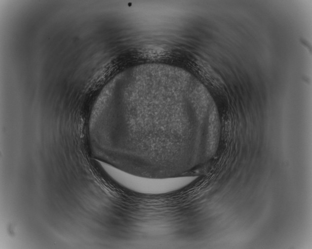 X0000097840750200804041443