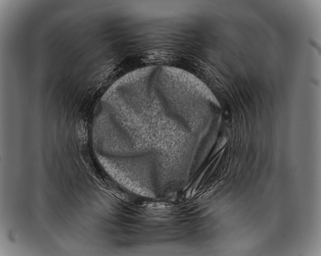 X0000097840751200804041443