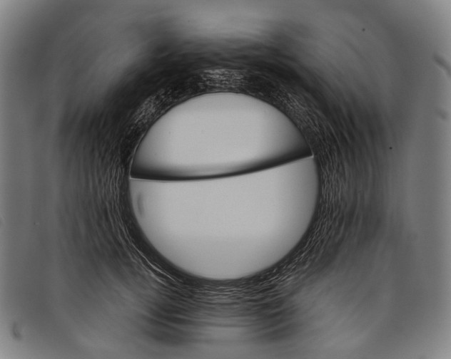 X0000097840752200804041443
