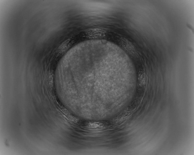 X0000097840753200804041443