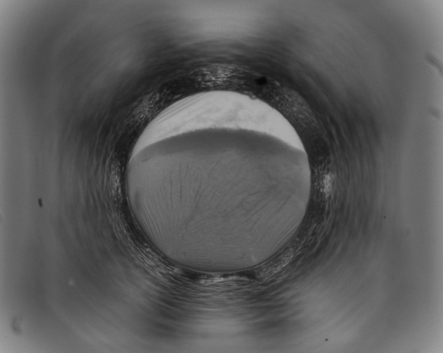 X0000097840754200804041443