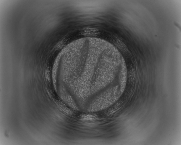 X0000097840755200804041443
