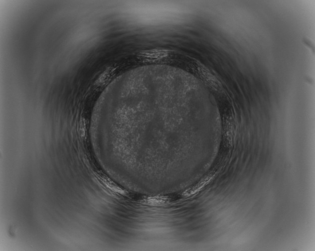 X0000097840758200804041443