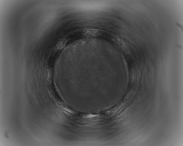 X0000097840759200804041443