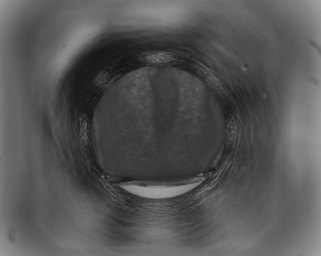 X0000097840762200804041443