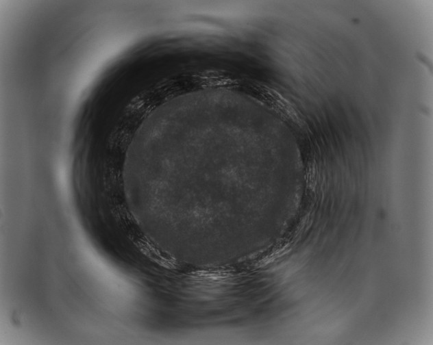 X0000097840763200804041443