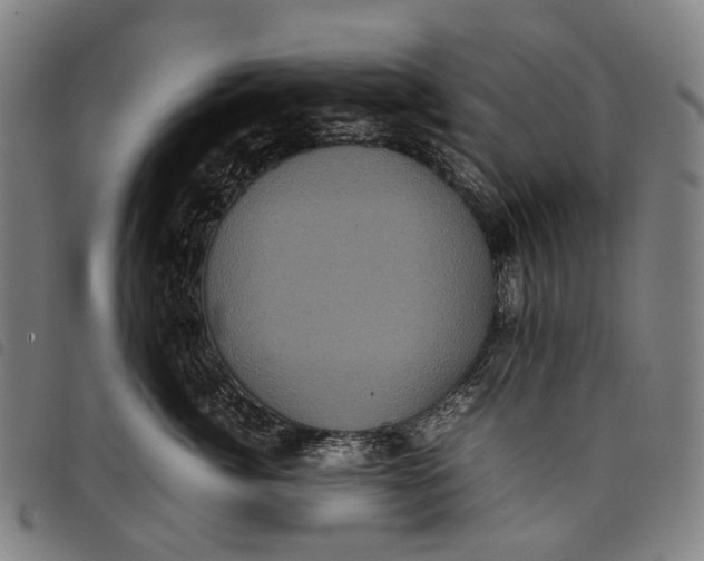 X0000097840764200804041443