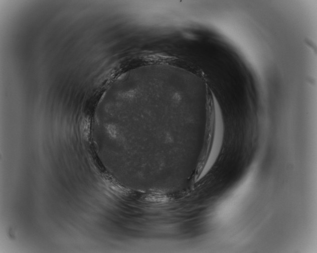 X0000097840767200804041443