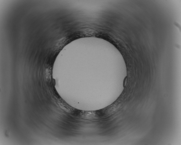 X0000097840768200804041443