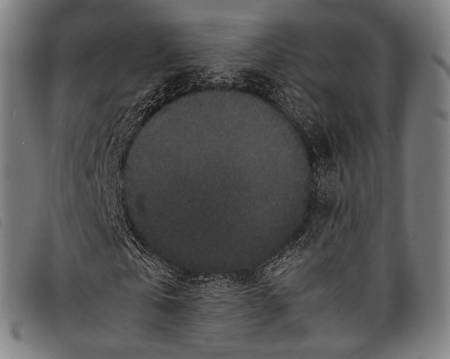 X0000097840769200804041443