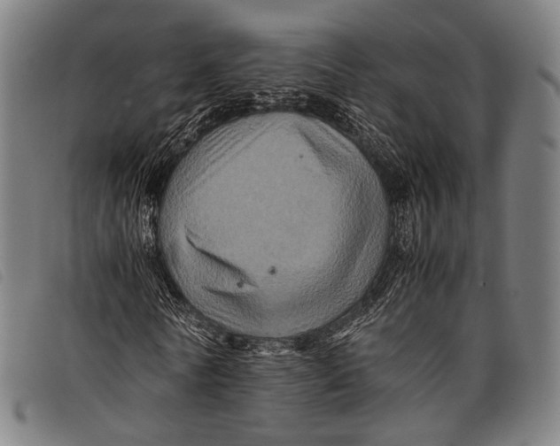 X0000097840770200804041443