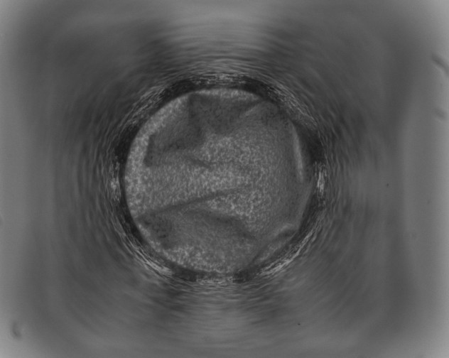 X0000097840771200804041443