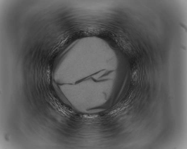 X0000097840772200804041442