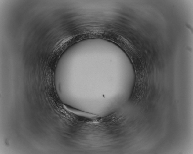 X0000097840773200804041442