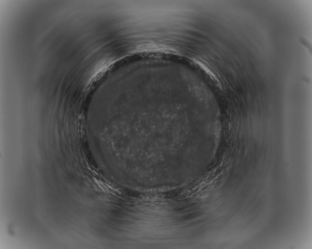 X0000097840775200804041442