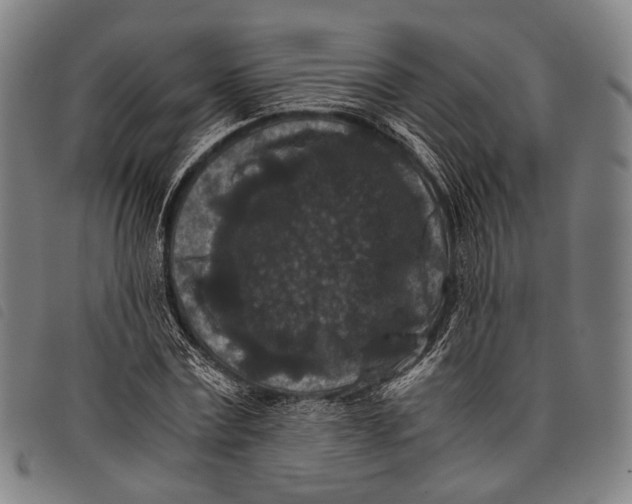 X0000097840779200804041442