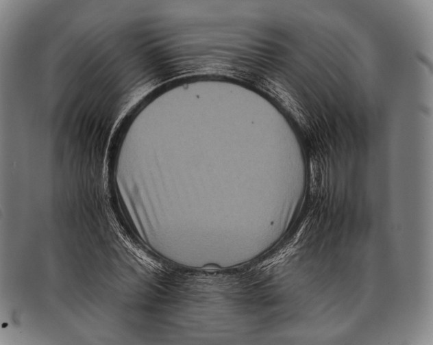 X0000097840780200804041442