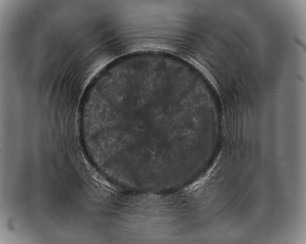 X0000097840783200804041442