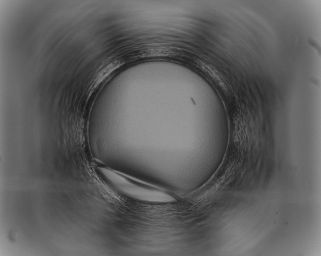 X0000097840786200804041442