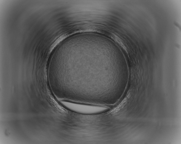X0000097840789200804041442
