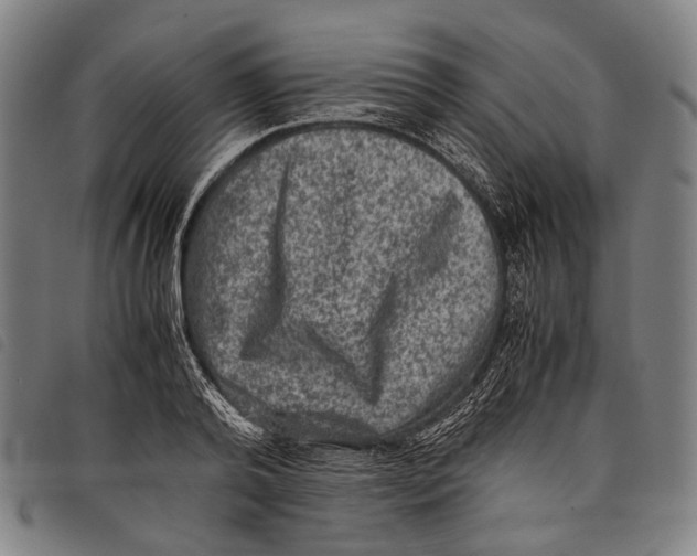 X0000097840792200804041442