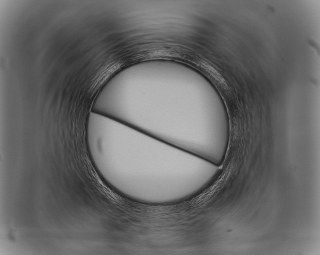 X0000097840793200804041442