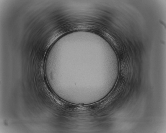 X0000097840794200804041442