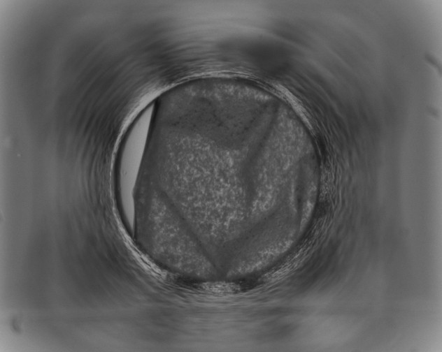 X0000097840795200804041442