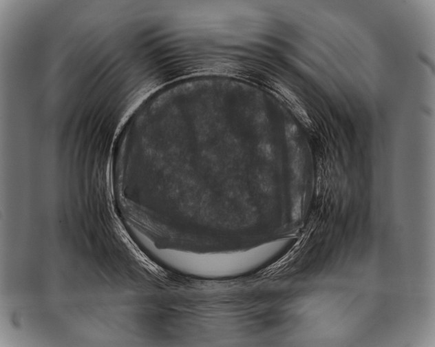 X0000097840796200804041442