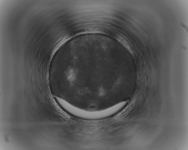 X0000097840797200804041442