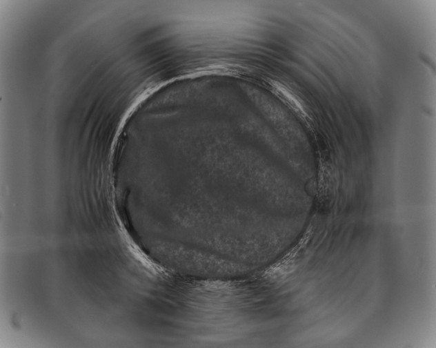 X0000097840800200804041442