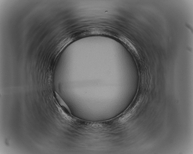 X0000097840801200804041442